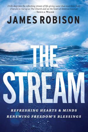 Cover of the book The Stream by Cynthia Ruchti