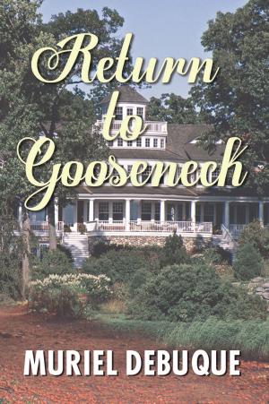 Book cover of Return to Gooseneck
