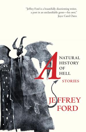 Book cover of A Natural History of Hell