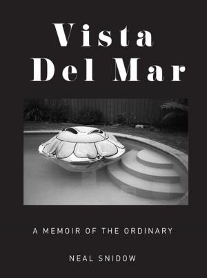 Cover of the book Vista Del Mar by Geoffrey O'Brien
