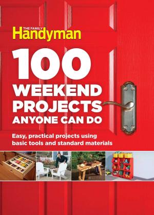 Cover of 100 Weekend Projects Anyone Can Do