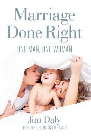 Cover of the book Marriage Done Right by David D. Ireland, Ph.D.