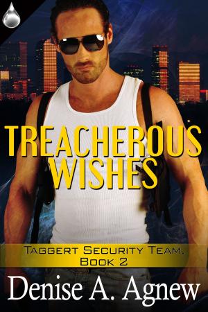 Cover of the book Treacherous Wishes by Rosanna Leo
