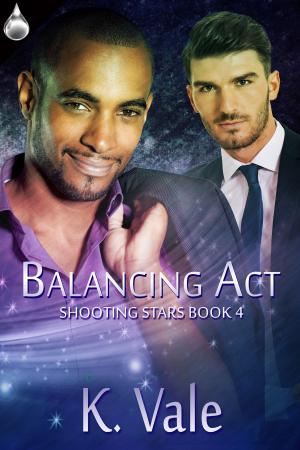 bigCover of the book Balancing Act by 