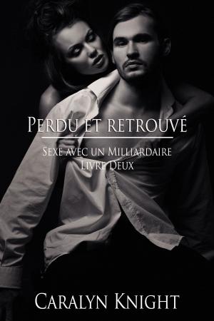 Cover of the book Perdu et Retrouvé by Ashley Bostock