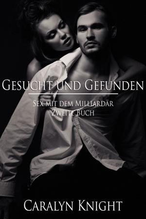 Book cover of Gesucht und Gefunden