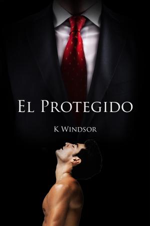 Cover of the book El Protegido by Verena Vincent