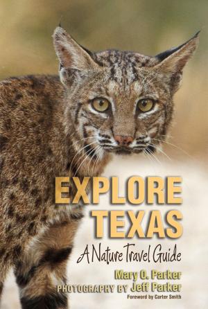 Cover of the book Explore Texas by David K Langford, Rick Bass, Myrna Langford