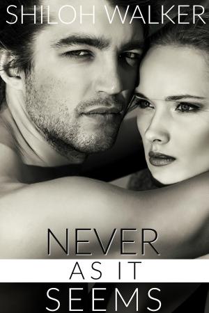 Cover of the book Never As It Seems by J.C. Daniels