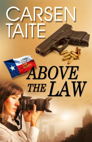 Cover of the book Above the Law by Georgia Beers