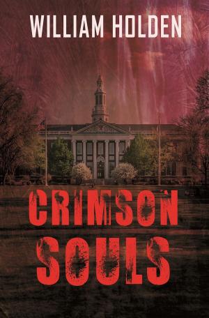 Cover of the book Crimson Souls by PJ Trebelhorn