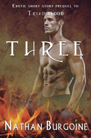 Cover of the book Three by Lisa Moreau