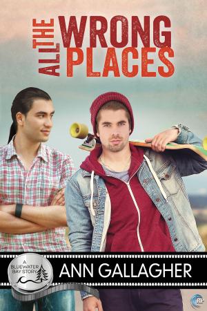 Cover of the book All the Wrong Places by L.C. Chase