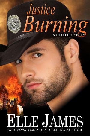 Cover of the book Justice Burning by Elle James