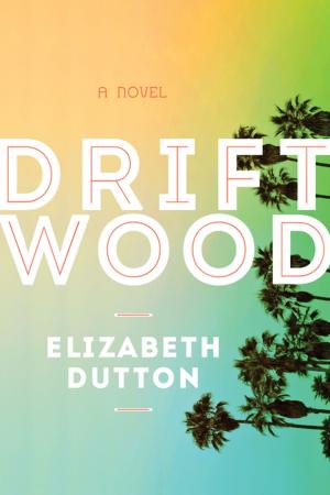 Cover of the book Driftwood by Phil Richards, John J. Banigan