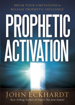 Cover of the book Prophetic Activation by Liz Gwyn
