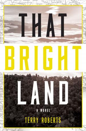 Book cover of That Bright Land