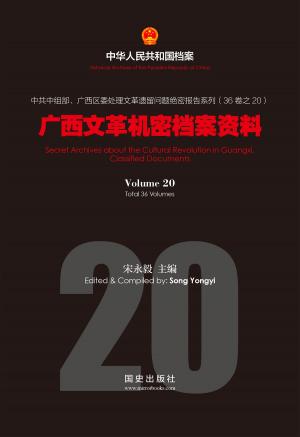 Cover of the book 《广西文革机密档案资料》(20) by Stephen Clarkson