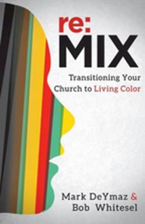 Cover of the book re:MIX by Larry Kent Graham