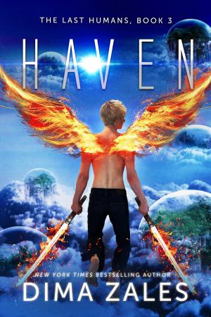 Book cover of Haven