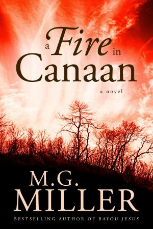 Book cover of A Fire in Canaan