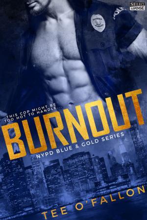 Cover of the book Burnout by Misty Evans