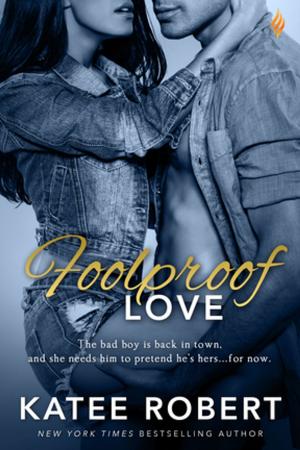 Cover of the book Foolproof Love by Rebecca Brooks