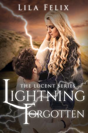 Cover of the book Lightning Forgotten by M.E. Cunningham, Julie Wetzel, Kelly Risser, Peggy Martinez, Melissa J. Cunningham, Susan Harris, Kendra L. Saunders, Sandy Goldsworthy