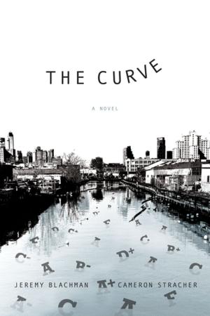 Cover of the book The Curve: A Novel by Matthew J. Kleiman
