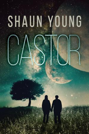 Cover of the book Castor by A.M. Burns