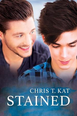 Cover of the book Stained by Clara Wintersnow