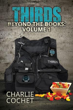 Book cover of THIRDS Beyond the Books Volume 1