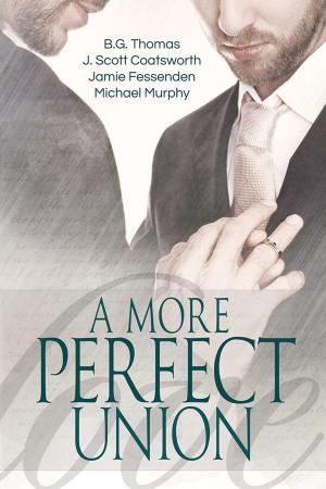 Cover of the book A More Perfect Union by CJane Elliott