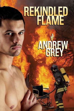 Cover of the book Rekindled Flame by Sean Michael
