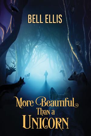 Cover of the book More Beautiful Than a Unicorn by Ethan Stone