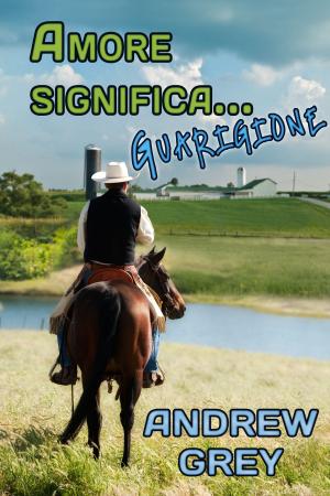 Cover of the book Amore significa… guarigione by Tracey Michael