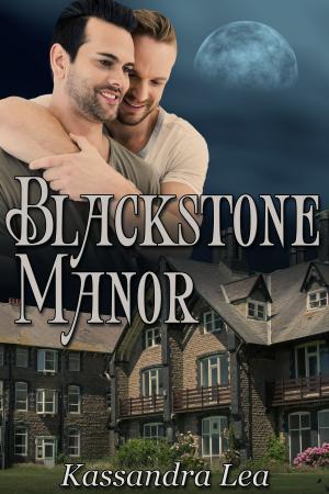 Book cover of Blackstone Manor