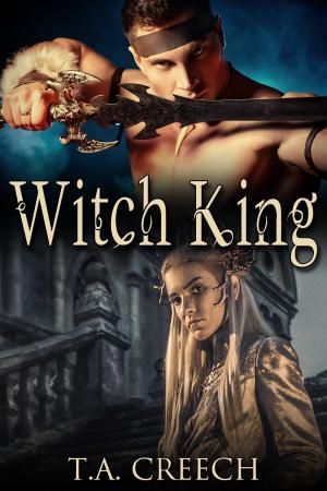 Cover of the book Witch King by J.M. Snyder