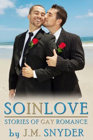 Cover of the book So In Love Box Set by J.D. Ryan