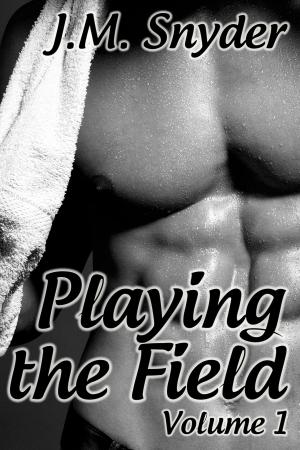 Cover of the book Playing the Field: Volume 1 Box Set by J.D. Walker