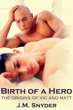 Cover of the book Birth of a Hero Box Set by J.D. Walker