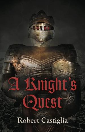 Cover of the book A Knight's Quest by J.A. Durbin, Roger L. Schillerstrom (Illustrator)