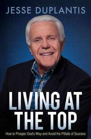 Cover of the book Living at the Top by Rebecca Springer