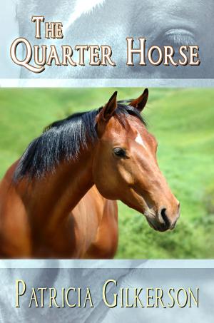 Cover of the book The Quarter Horse by Megan Hussey