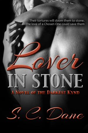 Cover of the book Lover in Stone by E. L. Tenenbaum