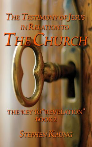 bigCover of the book The Testimony of Jesus in Relation to the Church  by 