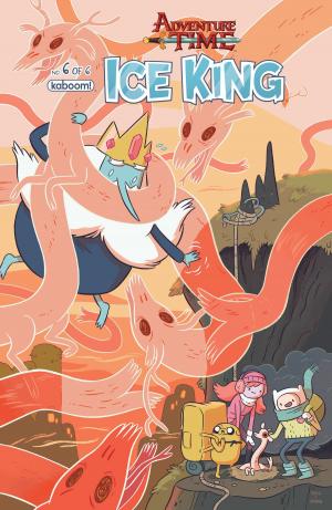 Cover of Adventure Time: Ice King #6