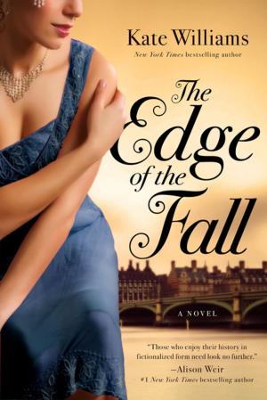 Cover of the book The Edge of the Fall: A Novel by Matt Fitzgerald