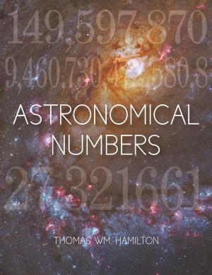Book cover of Astronomical Numbers
