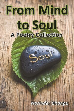 Cover of the book From Mind to Soul by Jim Davidson